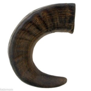 LARGE-Water-Buffalo-Horns-Dog-Chews-Treat-Better-Than-Antlers-Bully-ABO-GEAR-401428068278